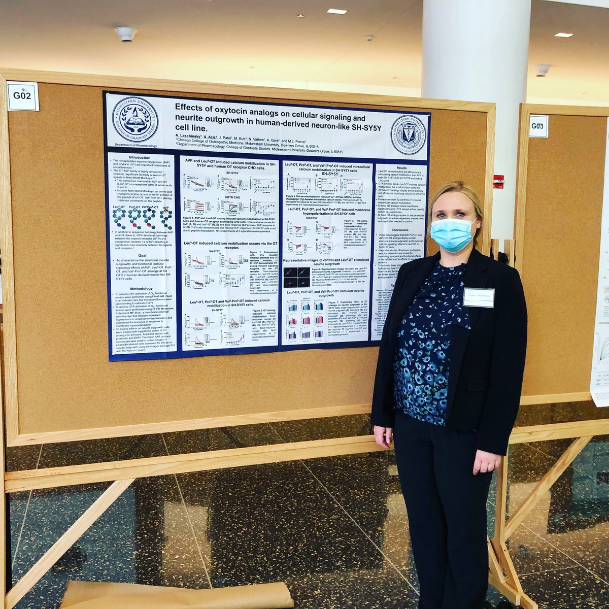 MWUPharmacology's tweet image. Effects of #Oxytocin Analogs on #CellularSignaling and #NeuriteOutgrowth in Human-Derived Neuron-like SH-SH5Y Cell Line. @CCOM_SOMA @MidwesternUniv #GLC @ASPET #2021AnnualMeeting