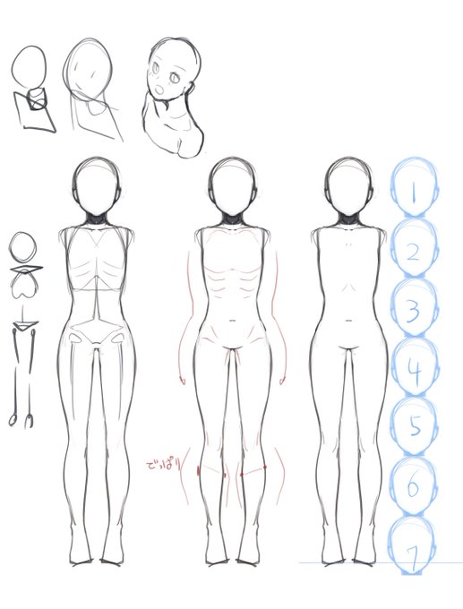 私の絵柄だと女の子素体はこんな感じを基準に描いてる(正しさは無い) 