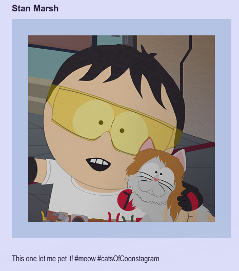 shokikita's tweet image. love stan's catposting