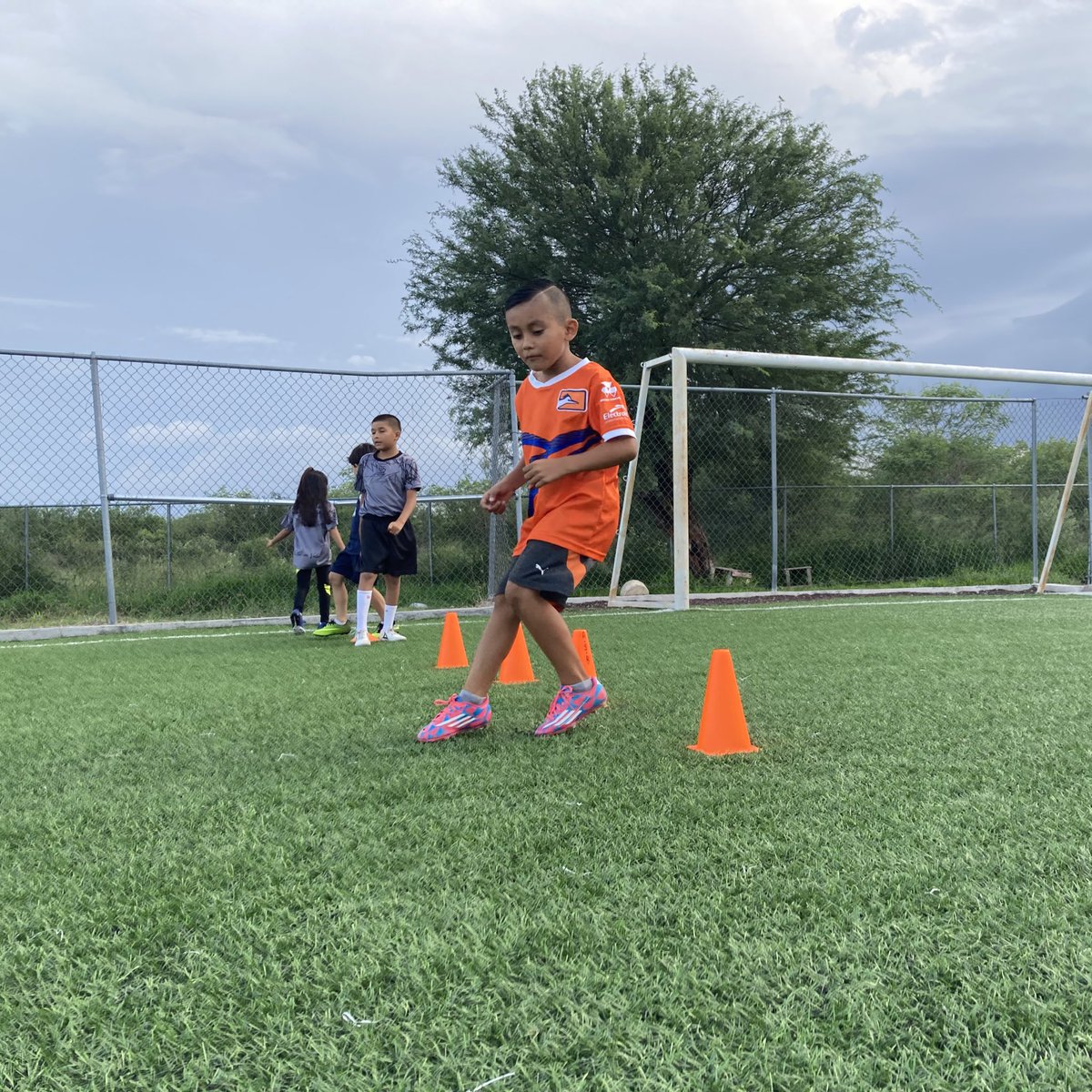 RosasSamba's tweet photo. 💯Nos mueve la pasión por el fútbol ⚽️Trabajamos para formar talentos completos.💥

Entrenamientos 
Lunes a jueves 18:30-20:00 hrs
📍Unidad Deportiva Norponiente 

#FutbolConValores #JuegoVivoMiSueño #FutbolConPasion #Futbol #CdVictoria #AcademiaSambaRosas #Tamaulipas https://t.co/1xNAmsdyMe