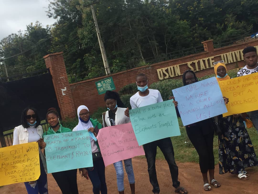 Mr_Basfaj tweet media