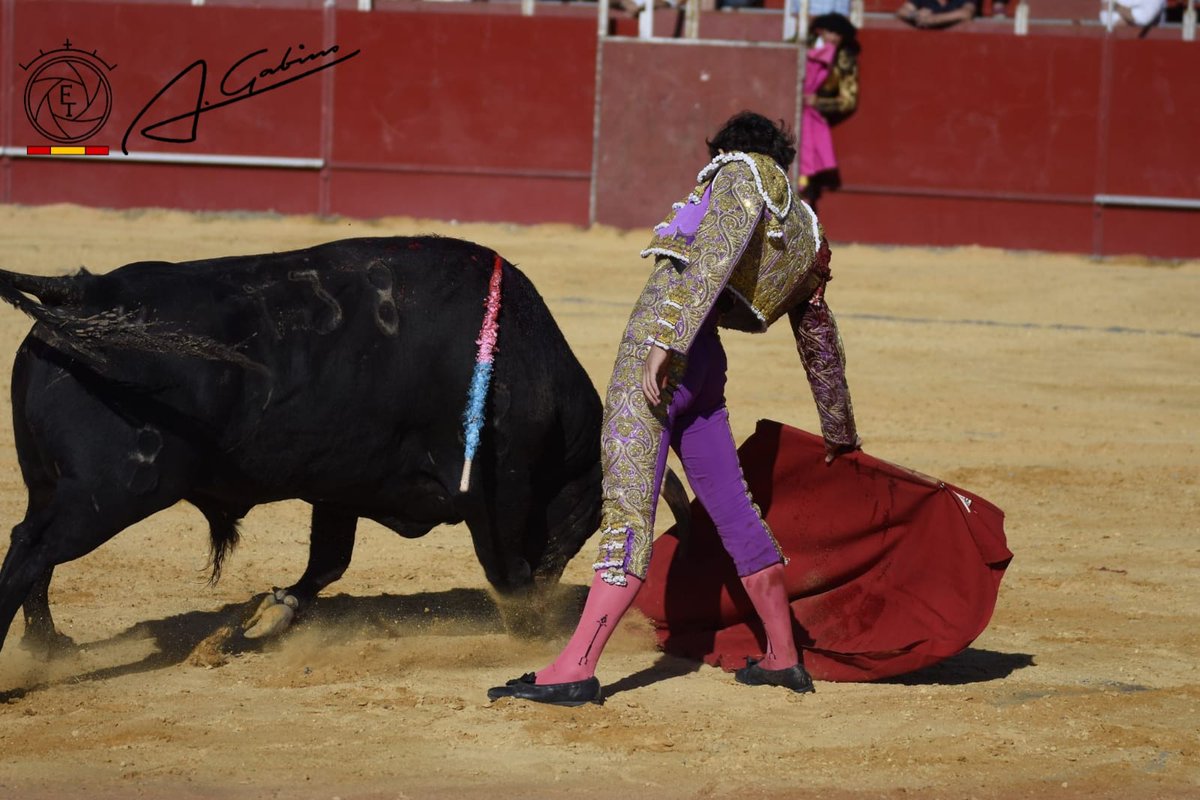 TENDIDO_5's tweet photo. 🟢OROZKO🟢
2°. OREJA para MIGUEL AGUILAR ante el astado de FERMÍN BOHÓRQUEZ.
📷 Antonio Gabino (ANFT). https://t.co/eFwWhc0Mzi