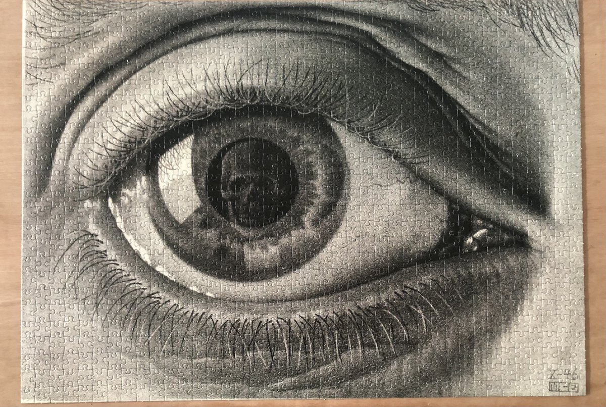 Many…. many hours later… 😵‍💫🧩
#puzzlemadness #escher