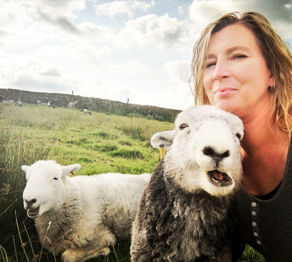 highfieldsherdy's tweet photo. Can either of you be serious for just one minute!! #droopsy #billy #herdwickantics #selfie
#sheep https://t.co/N2ahuudjNP