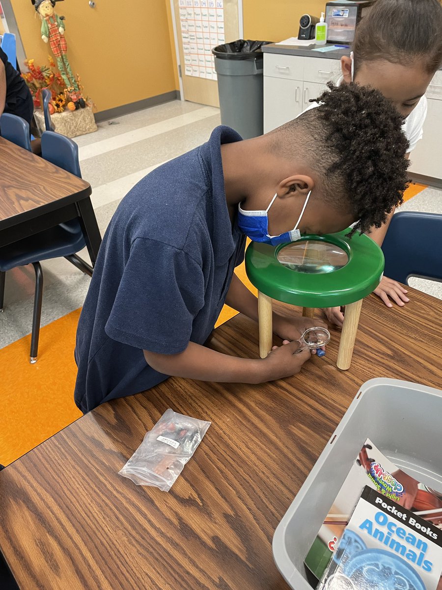 mrsishamscience's tweet photo. It has been wonderful having students back in the classroom. I hope it stays this way. #tatescience https://t.co/izt0lob7nb