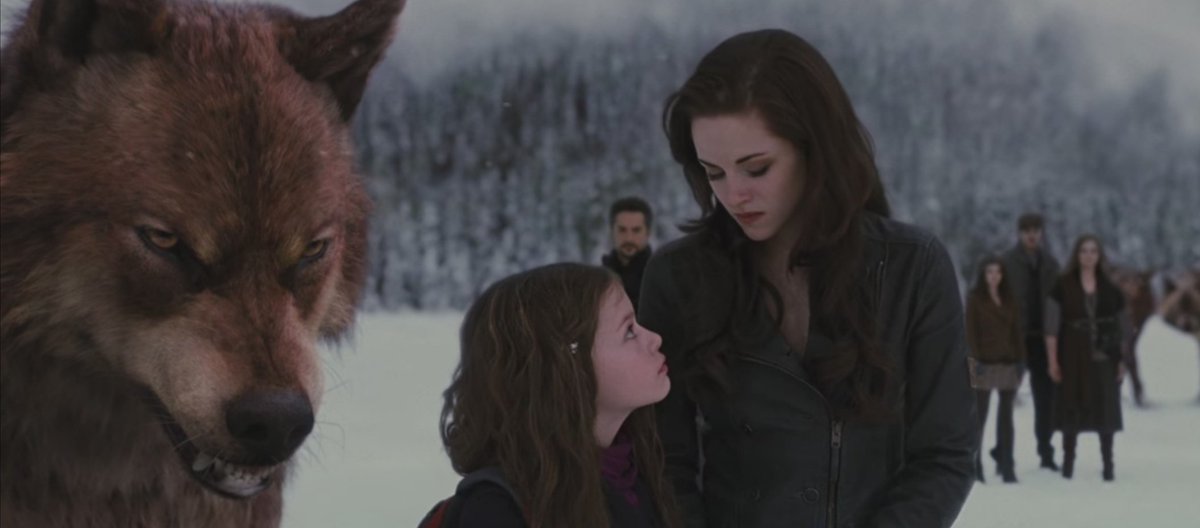 сумерки сага рассвет 2 волки. запечатлен волком. запечатлен волком. призрак волка в лесу. запечатлен волком.