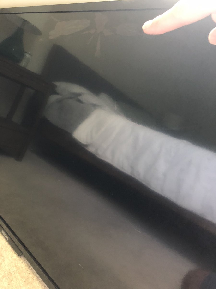 BoNeil65's tweet image. DO NOT use @CollegeDudeMove . Slow, unprofessional, and broke a handful of our items! Also moved into brand new home where walls and doors are all marked and chipped. Very unhappy! You are warned. #moving #company