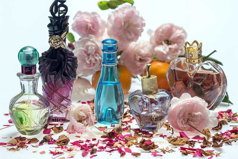nicetopic2's tweet photo. بفطرتنا نميل الى ربط الاحداث والالوان مع رائحة مميزة لنختزنها في زاكرتنا ، فلكل منا ذكريات تضج بالروائح ؛حيث لكل رائحة قدرة سحرية على خلق ذاكرة ما، فرائحة المطر والخشب المحروق الدافئ يملك قدرة مذهلةعلى استحضار دفء الحظات التي تتشارك معها بالرائحة فلا

https://t.co/Oqi3tHlfmB https://t.co/hK27QTnNXo