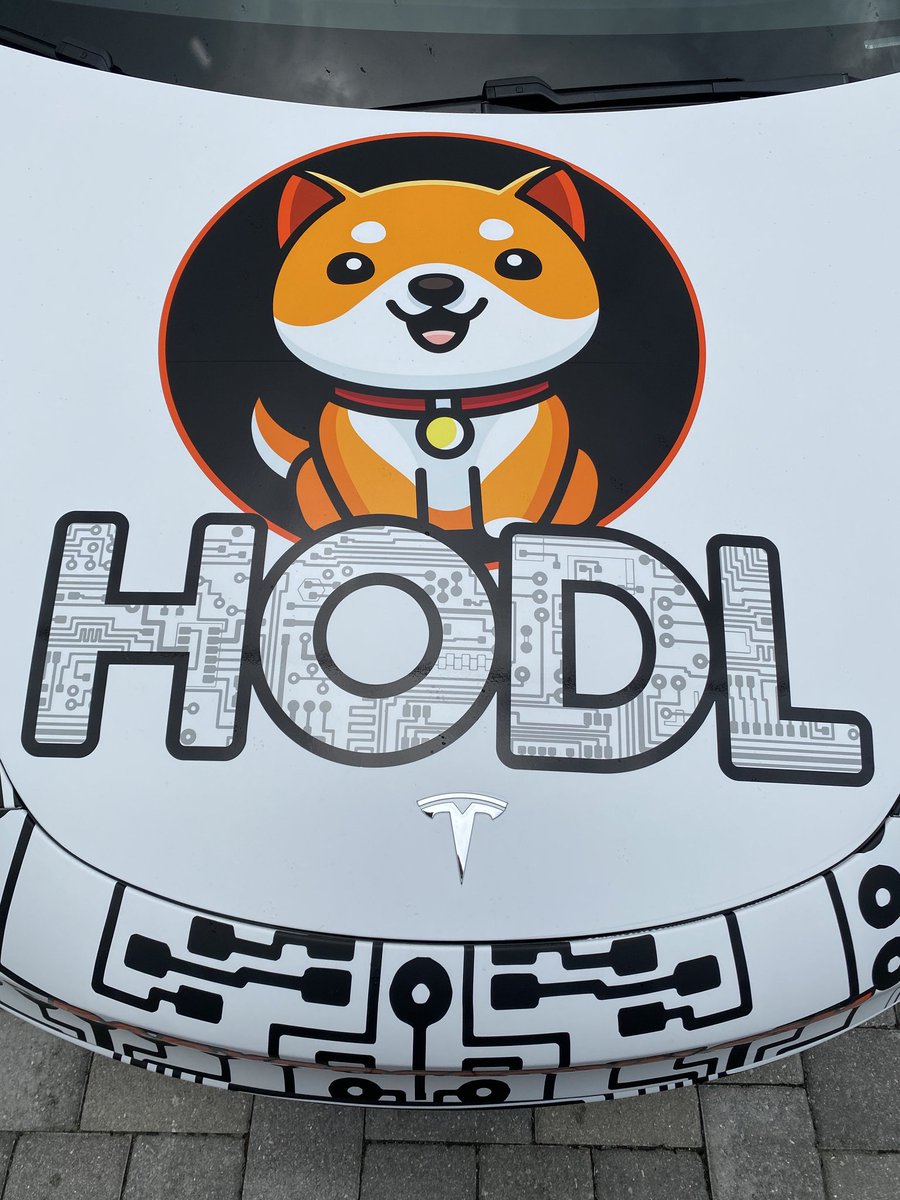 yoneslashkari's tweet photo. @babydoge @binance https://t.co/e8Y0aDUVvz