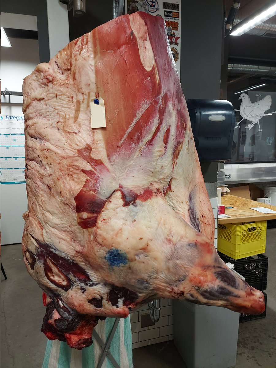 Hauling in a 93kg front of beef will getcha goin in the morning! 🤪
#MeatLife #yegfood