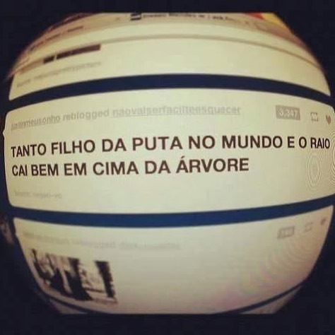 capelozzi's tweet image. 