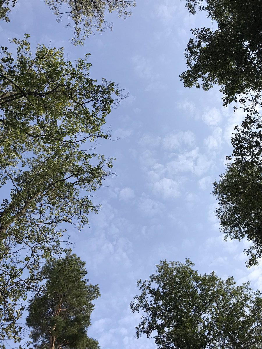 HietsuJH's tweet photo. Hahhaa, millään ei ole yhtään mitään väliä niissä hetkissä, kun tajuaa, että kesä jatkuu yhä vaan!
#hetket
#pyöräretki
#kesä❤️ https://t.co/VXHrWqRv9Y