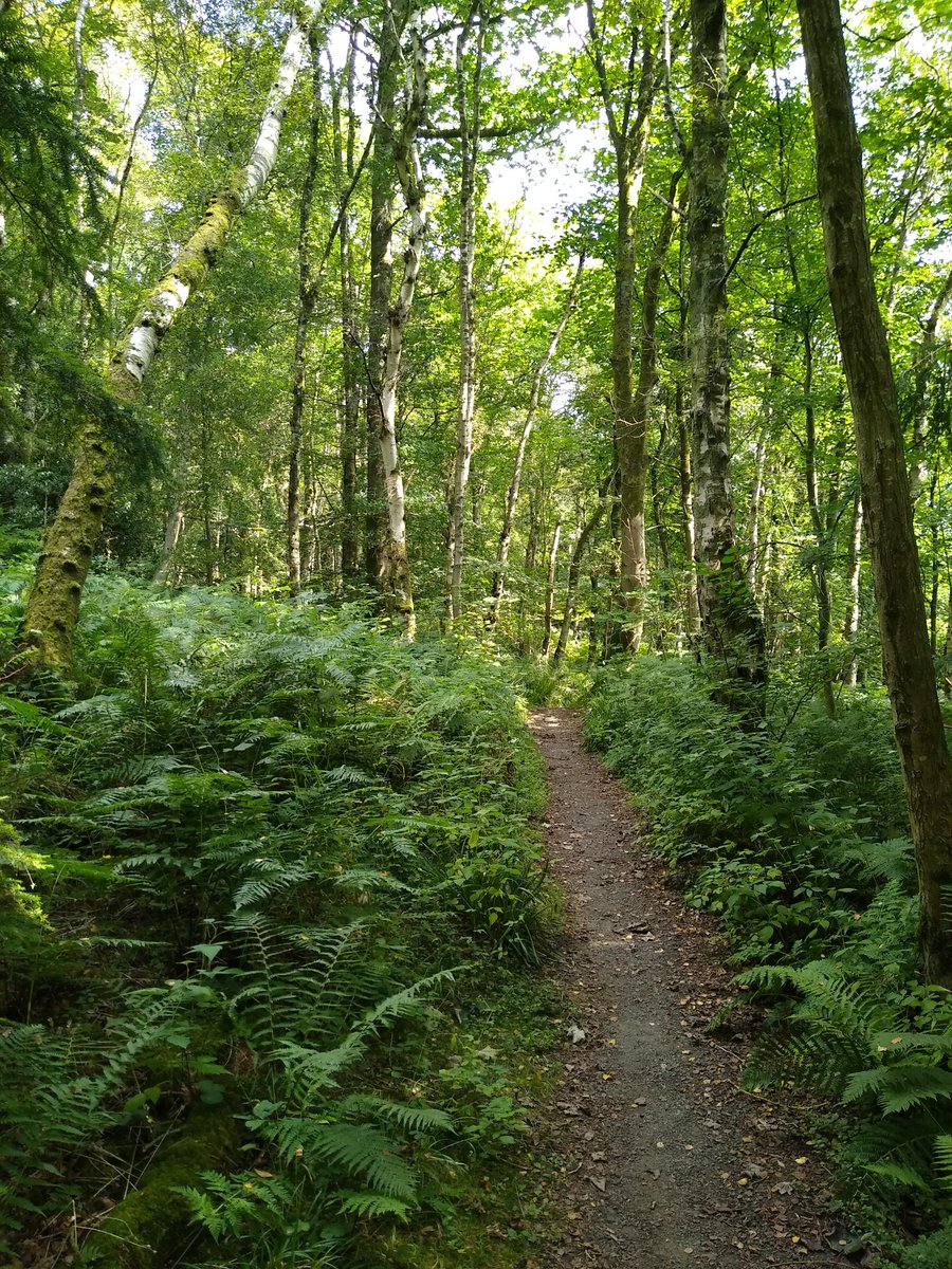 Mauchline Community Action Group tweet media