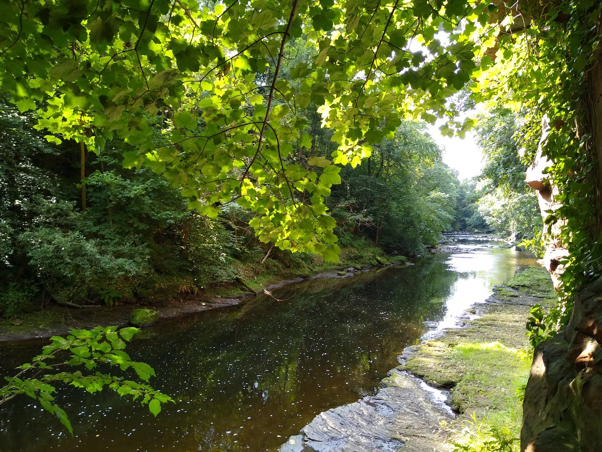 Mauchline Community Action Group tweet media