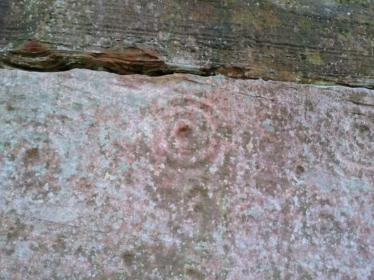 Mauchline Community Action Group tweet media