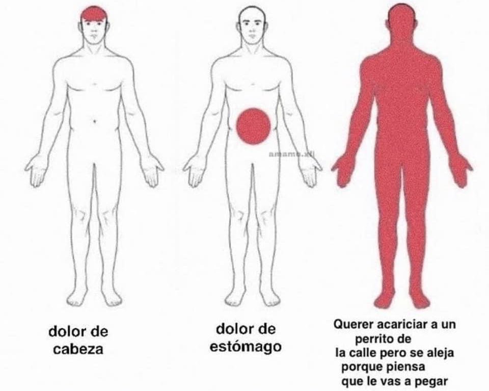 DiloConPerritos's tweet photo. ¿Qué duele más? https://t.co/km5fUJ3vW8