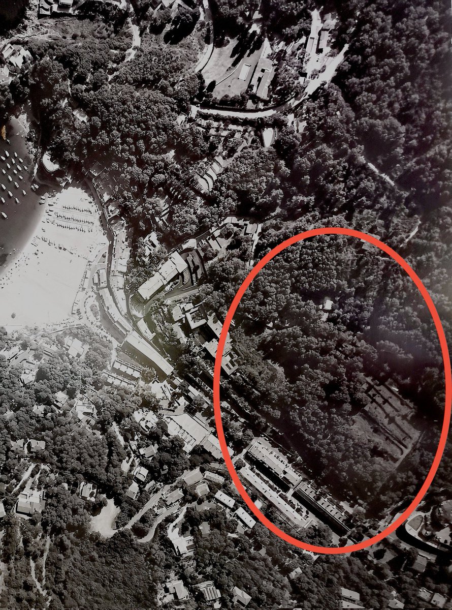 casadevall_joan's tweet photo. Quina pena de Begur: A "Els Jardins de Sa Riera" s'han carregat una bona pineda i densificaran encara més una població ja sobresaturada a l'estiu. El planejament un cop més va lent i les seves revisions no prosperen @SOSAiguafreda @SosCostaBrava https://t.co/MfYI2g2nGe