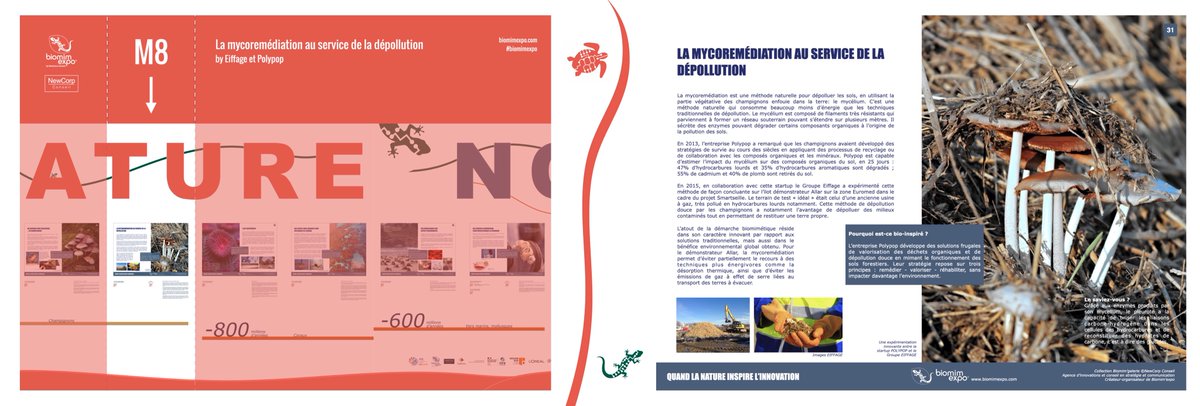 BiomimExpo's tweet photo. Le 7ème exemple aborde une autre application importante avec le #mycelium qu'est la #mycoremédiation consistant à dépolluer les sols contaminés comme l'a expérimenté le Groupe @eiffage avec la start-up #Polypop #nature #pollution #biomimétisme https://t.co/XRkkYHQQyA