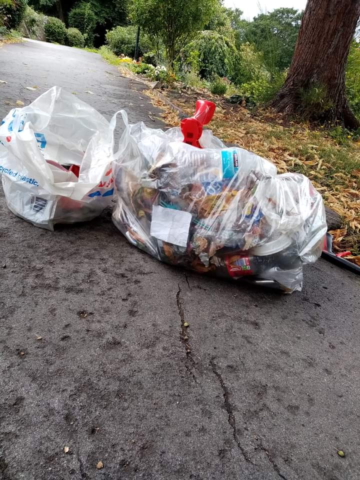 SheffLitterPick's tweet photo. The sun is out, we are out. Come on #Sheffield #useabin https://t.co/iKyNfwERMD