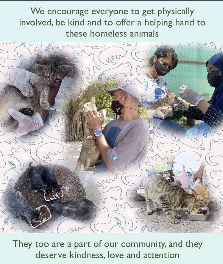 CareforPawsMv (@pawsmv) on Twitter photo 