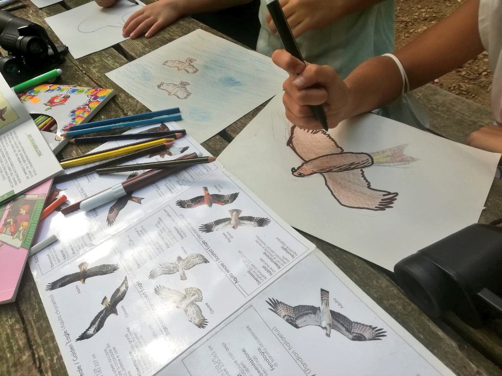 Birdwatching ieri pomeriggio per i #Beigua Junior Geoparker tra il Curlo e Case Vaccà per salutare insieme a Greta il passaggio di tantissimi Gruccioni dal canto inconfondibile. E il loro piumaggio multicolore ha ispirato la produzione artistica! #LiguriaSostenibile