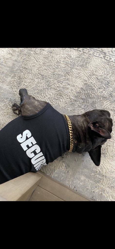 TGemp's tweet photo. Sunny got a job. https://t.co/qk1hcZoGTF