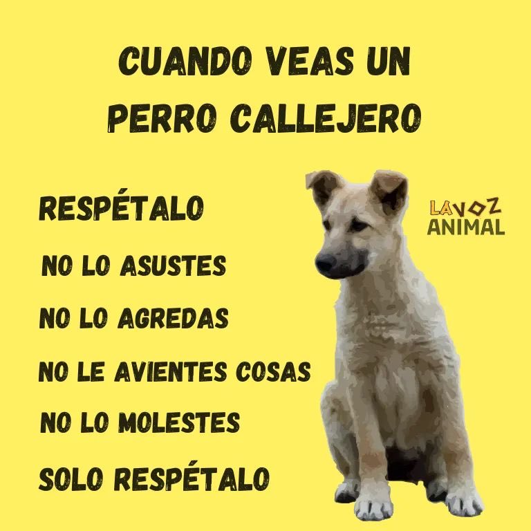 GustavoVela71's tweet photo. La Voz Animal https://t.co/bxquULRGFO