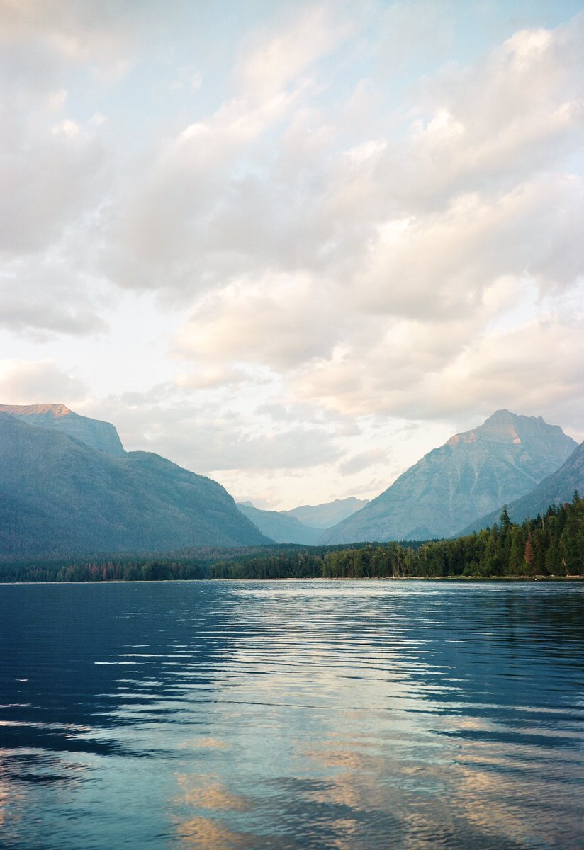 moments of peace among the chaos