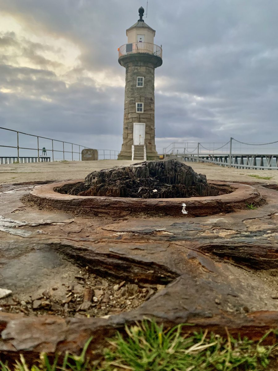 Julie Linley tweet media