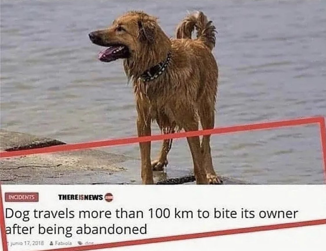 I, too, am motivated by revenge.