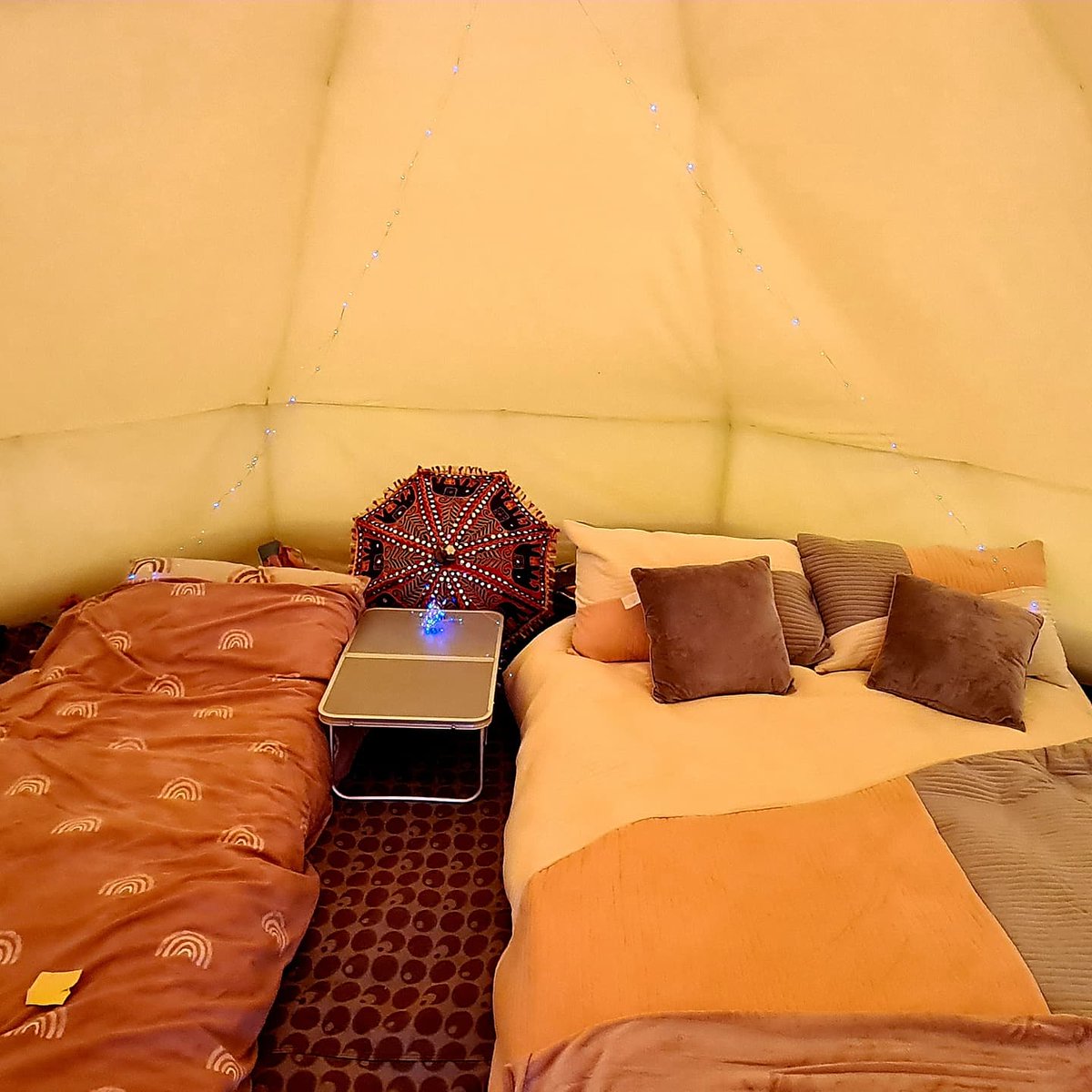 Mags Sanders 💙 tweet media