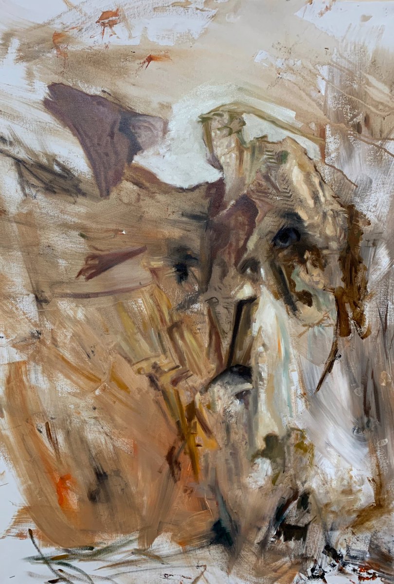 RyanLouderMusic's tweet photo. Unnamed work in progress oil on canvas.
ART FINDER
https://t.co/LvlhZGNSYm
#hypnagogia #painting #hallucinations #coolidea #artshelp #arts_help #dailyart #artifvisual #artsdrawing #artshares #painting #oilpainting #narcolepsy #remintrusion #remsleep #neurology https://t.co/76YAVXS9fP
