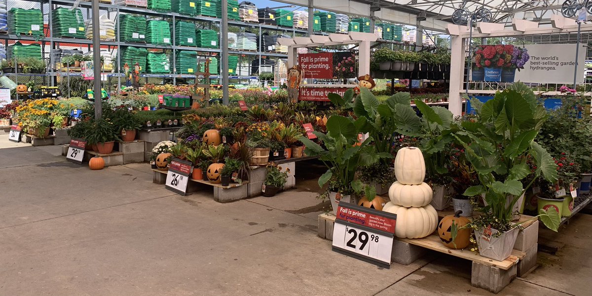 JeradClayton's tweet photo. #207, Centerville OH is looking great with all these Fall colors!!  Come on out and take advantage of all the great deals going on at your local @Lowes. @LBishPlants @MetrolinaGHS @shanejthompson @kplowery6b https://t.co/UDqMf6lZaN