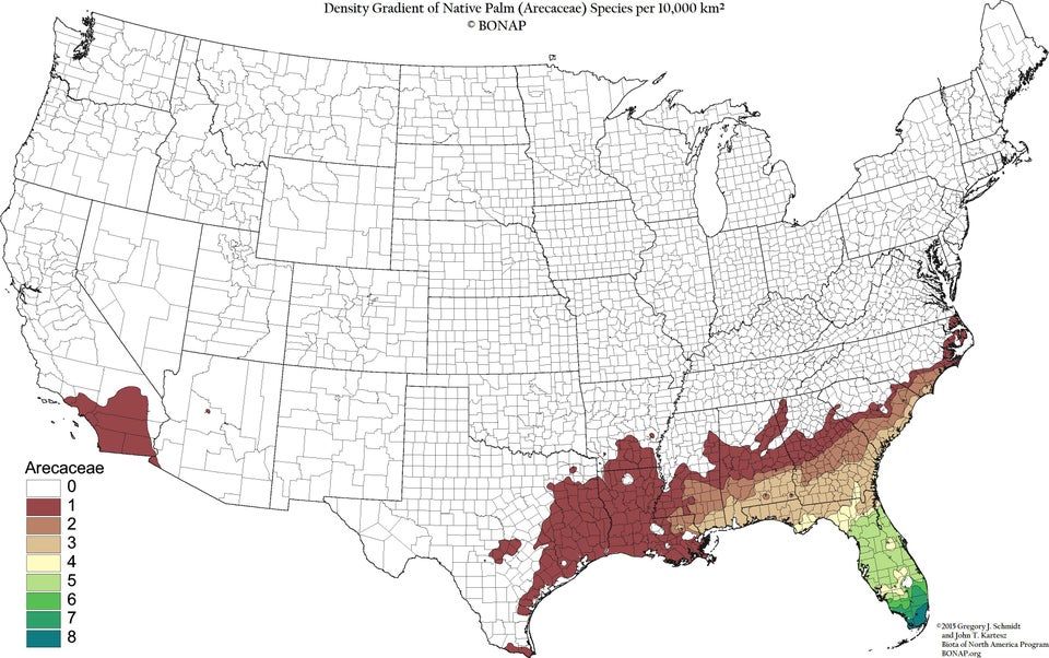 Palm tree density across the US. Source: buff.ly/3kqLY9X