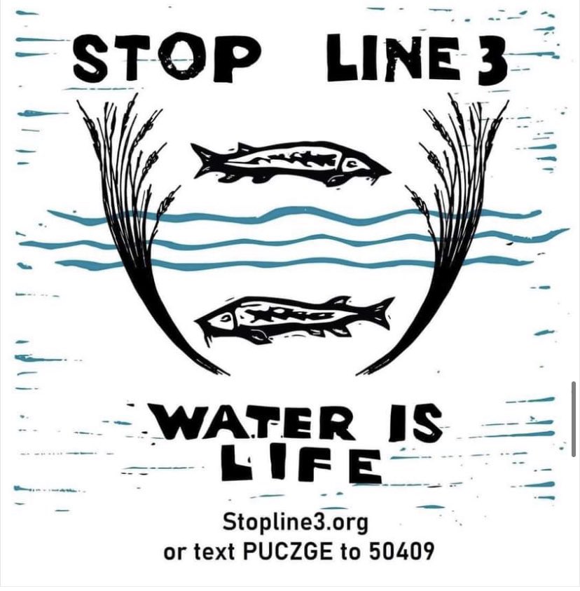 Inhumansoflate1's tweet image. We indigenous are fighting in different fronts for the same cause.  as  they are all connected.  As we are care takers of this earth . Please take time to help us save the waters and stop line 3 text PUCZGE to 50409 #StopLine3Pipeline #StopLine3 #line3 #ScienceTwitter