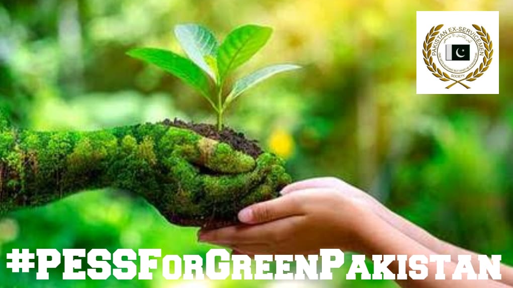 javedatahir's tweet photo. Trees are our lifeline.
Grow trees...
Make Pakistan Green 💚💚💚
Join PESS effort for Green Pakistan
#PESSForGreenPakistan https://t.co/rePMWf75Bf