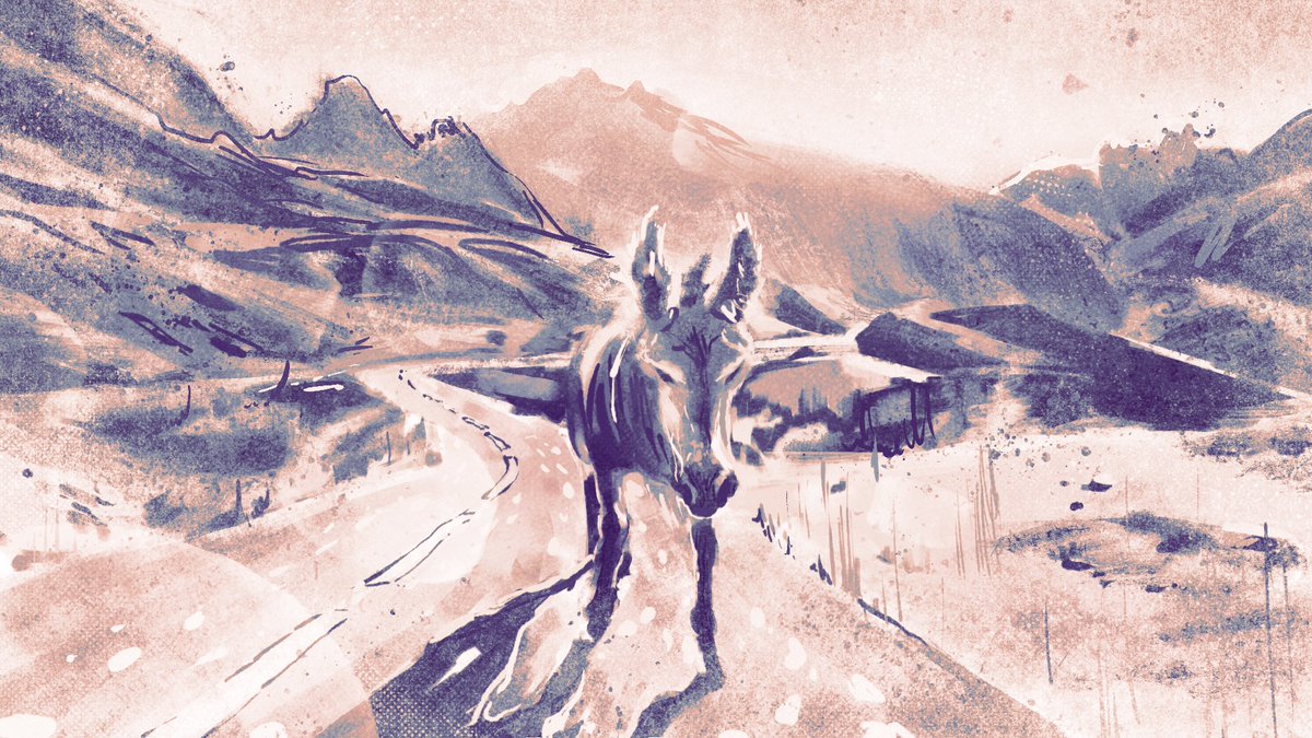 Shawn Dinh Stephens tweet media