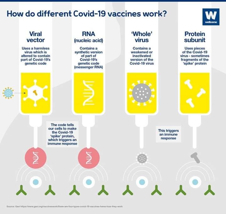dinethiti's tweet photo. එන්නත්කරණය #ඇත්තසොයමු.
Covid-19 vaccination.#exploreTruth https://t.co/oWbLGwKnCE