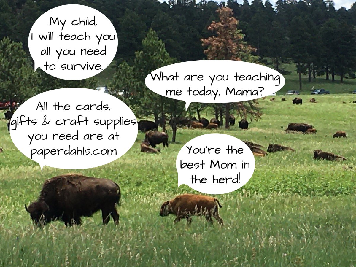 Listen to the wise mama buffalo! Visit paperdahls.com today. #HalloweenCards #BirthdayCards #ShadowBoxes #GiftIdeas #AllOccasionCards #shopsmall #shopping #GreetingCards #FunShop #HomeDecor #Photography #postcards #craftsupplies