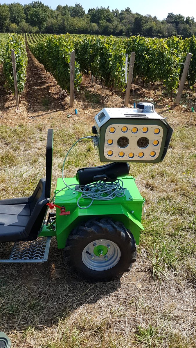 HeloiseMahe's tweet image. Un drôle d&apos;alien dans les #vignes du Mâconnais cette semaine... C&apos;était FLASH, qui s&apos;entraîne à la reconnaissance des jaunisses #phytoplasmes ! Avec #BloomfieldRobotics @VinsdeBourgogne @chambagri71 @vitilab et les #viticulteurs partenaires.