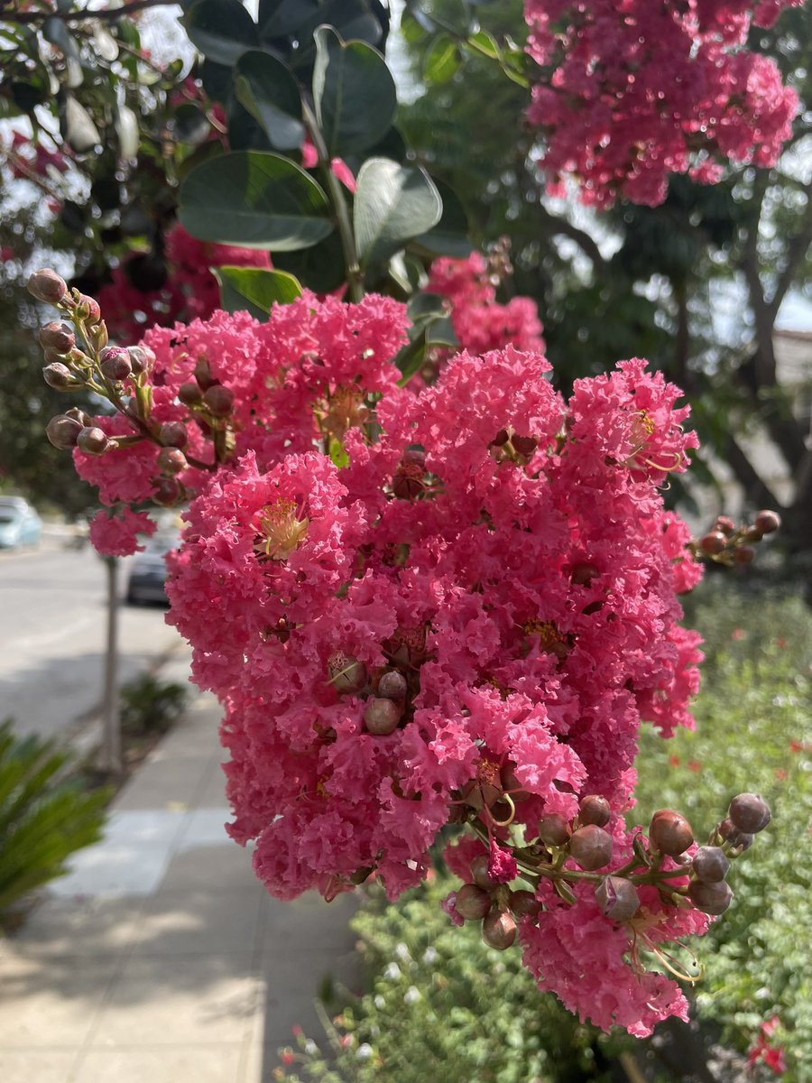 “The moment you recognize what is beautiful in this world, you stop being a slave.” White Tiger 🐅 
Quiet your #mind, connect to #nature, establish #roots. 🌳 #quietyourmind 🌵 #connecttonature 🌴 #establishroots 🌱 #natureadventures 🌿 #rootsconnect 🌲 rootsconnect.us