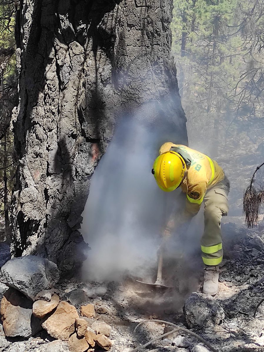 Carlobrusini's tweet photo. @AGMCan ¡Totalmente! Como curiosidad destacar que el #IFArico aún no se ha declarado como extinguido, el trabajo después de darse por controlado en muchas ocasiones es lento, duro y con muy poca repercusión.

Imágenes de las BRIFOR (Brigadas Forestales) del @CabildoTenerife https://t.co/GAusc0eCNP