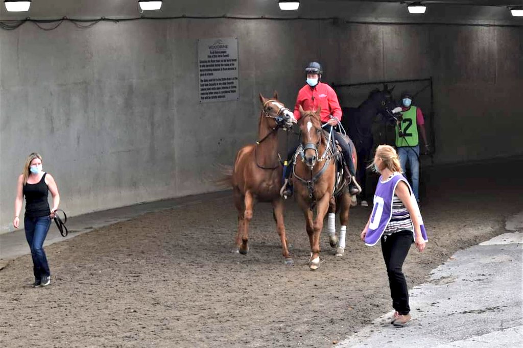 mrwillthehorse's tweet photo. Win for the fam! Congrats Mama and Half Lit! We are gonna miss you buddy! https://t.co/4xLNj3dDpE