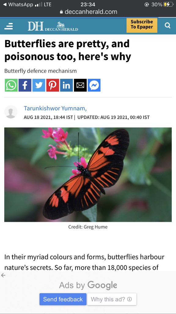 A #scicom piece I wrote for <a href="/DeccanHerald/">Deccan Herald</a> based on the insightful work by <a href="/ErikaCPCastro/">Erika de Castro</a> @mel_rosina et al. They showed host plant driven chem defence plasticity in Heliconius and that biosynthesis comes at a cost for a specialist but not in a generalist. bit.ly/2WyWCTT