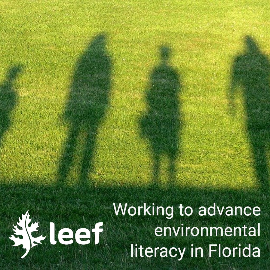 The League of Environmental Educators in Florida (LEEF) is the professional organization for environmental education in Florida - advancing environmental literacy and promoting stewardship. 🌎💚

Join us! 🤗 🤝

#EEinFL #environmentaleducation #enviroliteracy #floridastewardship