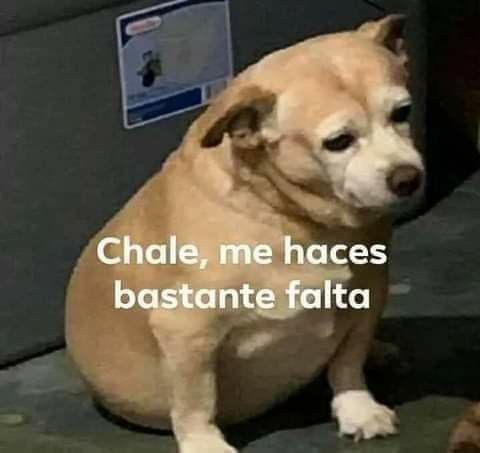 Y00SK8's tweet photo. El fandom de tokyo rev con Baji https://t.co/pg0St79aHI