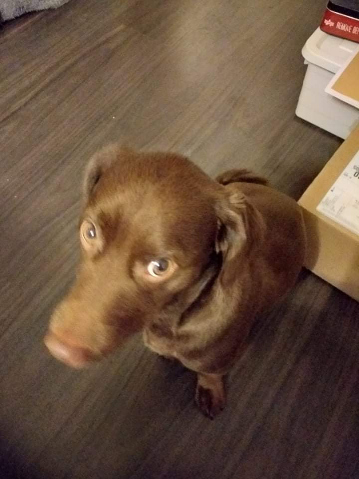 Mom and I moved into a new apartment. I'm angry because he didn't care much for me. 😪