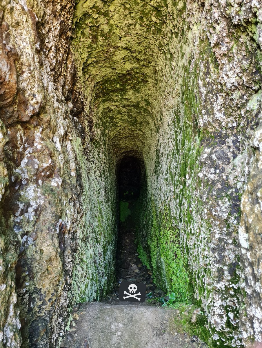 6milesup's tweet photo. A supposed smuggler's cave on the east coast of Ireland... used to hide goods that came by sea, stashed for a later pick up... if you can believe local legend 🏴‍☠️ #smugglerscave  #Ireland #beach https://t.co/jvO5wVwEqq