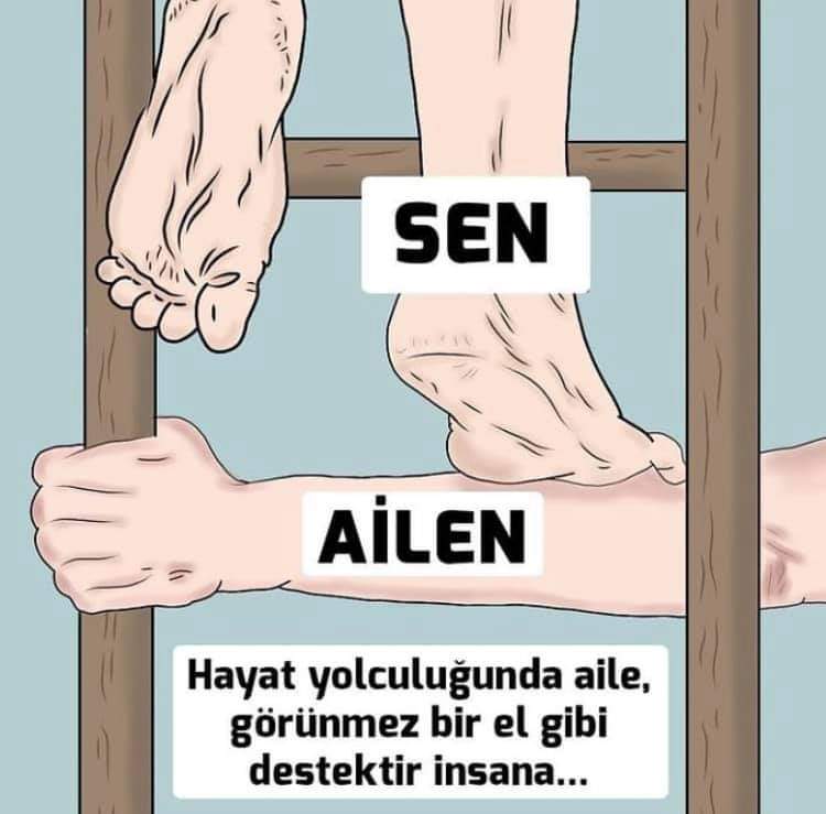 Nurselstn4's tweet photo. @Ebru40835739 @Akparti @AKKADINGM @vedatbilgn @csgbakanligi 696 KHK ile kadroya geçirilen sürekli işçiler tayin konusunda çok mağdur eşi ve işi arasında bocalamak zorunda kalıyor https://t.co/7AKTtII4z3