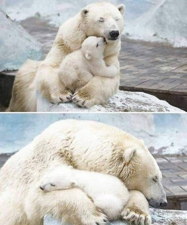 Krystyn31197823's tweet photo. Beautiful ...💖💞💞
heart nature is Wonderful https://t.co/uRWiTu1qNL